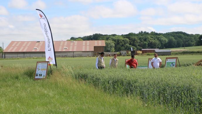 Le Groupe Carré a fait le choix d’épauler les agriculteurs dans la baisse des intrants et l’agriculture régénératrice, mais pas dans le bio. © B. CAILLIEZ