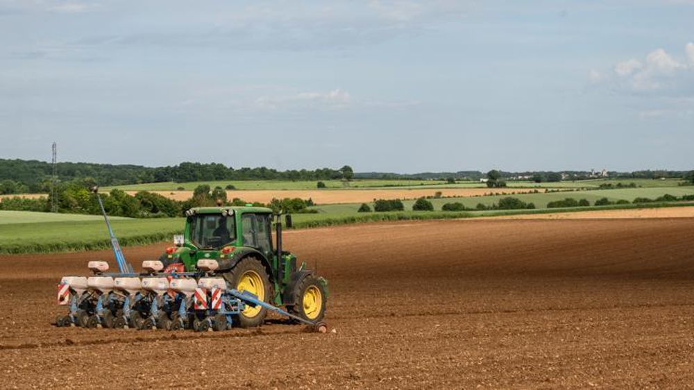 Plus de 82 % des agriculteurs interrogés ont été impactés par les choucas ou les corbeaux au semis. © J.-M. NOSSANT