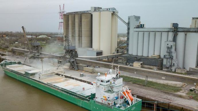 InVivo gère désormais tous les silos de Bordeaux, « ce qui est intéressant pour adresser certains marchés de niche ou des marchés à valeur ajoutée comme le Portugal », souligne Thierry Blandinières, DG d’InVivo. © J.-B. NADEAU