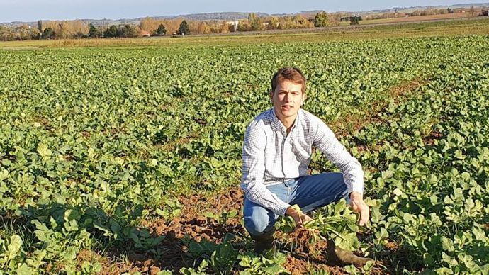 « Un couvert végétal avec des légumineuses a été semé l’été dernier », explique Armand Gandon, chef de projet bas carbone au sein de l’équipe agronomique de Vivescia.