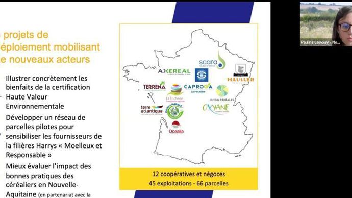 L’association de protection de la nature Noé a organisé le 1er juillet un webinaire autour des travaux menés avec les acteurs des filières agroalimentaires et d’experts agronomes ou naturalistes.