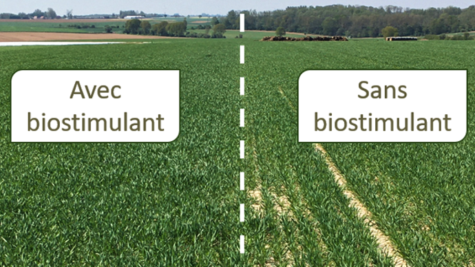 Ce ne sont pas moins de 80 biostimulants et produits de biocontrôle que Ternoveo propose à ses clients agriculteurs cette année.