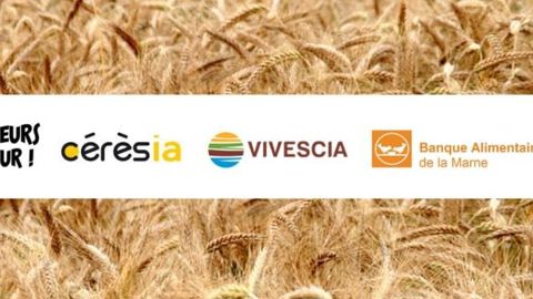 Cette opération de dons de blé au profit de la Banque alimentaire de la Marne mobilise quatre partenaires : Les agriculteurs ont du cœur, Vivescia, Cérèsia et Solaal.