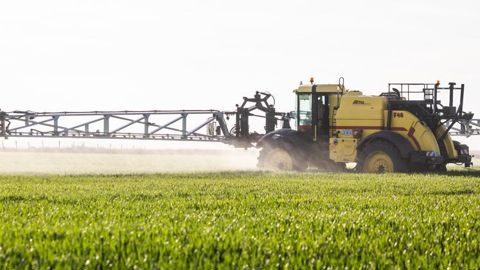 La baisse d’IFT revendiquée et déclarée dans la fiche action CEPP décernée au Vertal grandes cultures sur céréales à paille est de − 25 %. © C. THIRIET