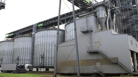 80 000 t de graines oléagineuses (80 % de colza et 20 % de tournesol) ont été contractualisées par OleoZe en 2020, « soit l’équivalent de 120 000 t d’émissions de CO2 évitées ». © R. FOURREAUX