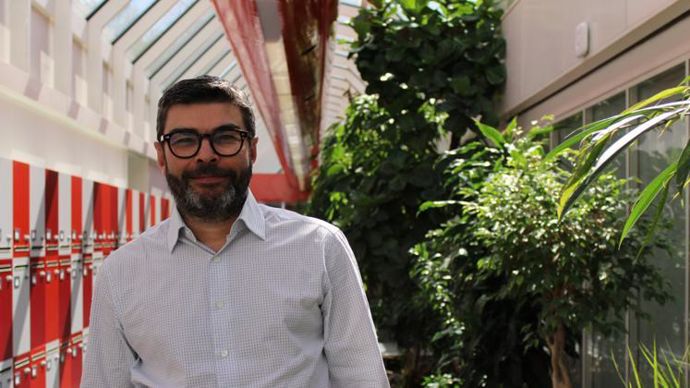 Olivier Leducq, directeur de Tereos Sucre Europe : « Les betteraves touchées par le dossier Goltix Duo vont être traitées dans deux sucreries du groupe, à Bucy-le-Long et Artenay, en début et fin de campagne. » © TEREOS