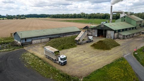 Tereos fabrique environ 145 000 t de pellets de luzerne sur quatre sites, avec actuellement un pourcentage très faible vendu à ses adhérents éleveurs. Ici, l’usine de Pleurs (Marne) qui a installé en mai dernier un injecteur biomasse afin de substituer d’ici trois ans le charbon par des plaquettes de bois. © M. BLOSSIER/TEREOS