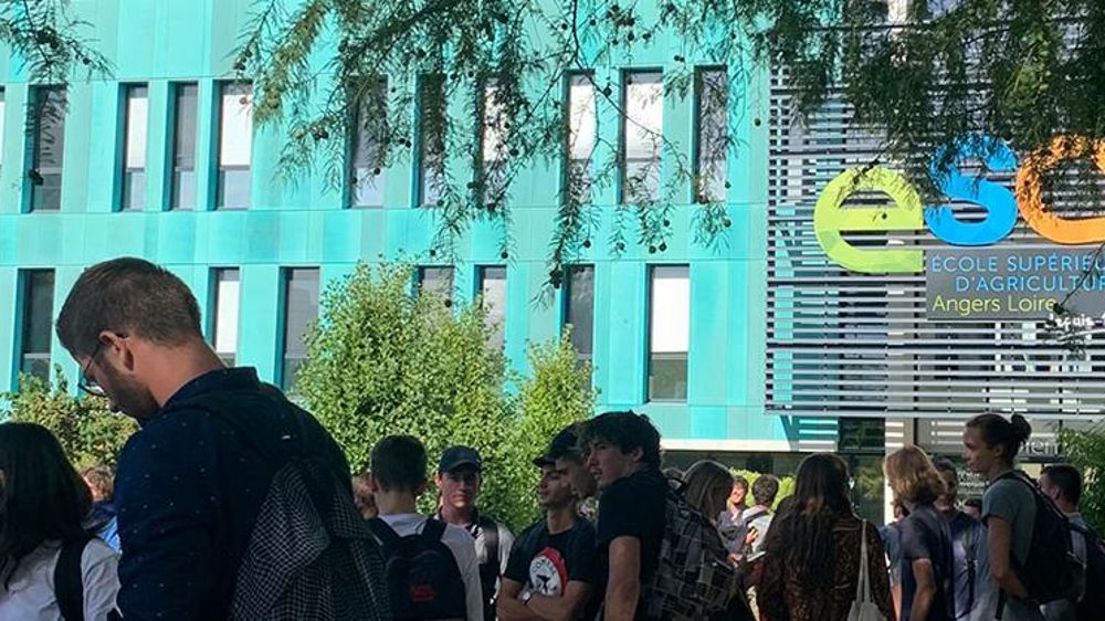 De nombreux jeunes et une centaine d’entreprises sont attendus sur ce forum virtuel, hébergé sur le Career Center de l’Esa d’Angers.