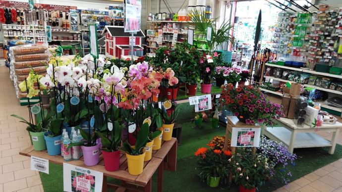 Les salariés des deux réseaux Gamm vert de Noriap et Cérèsia vont avoir pour mission de trouver un nouveau nom à la structure commune nouvellement créée.