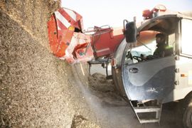 Ration. 0,01 d’UFL en moins et un encombrement en augmentation (+ 0,01) par rapport à 2019, équivalant à - O,5 kg de lait par VL pour une ration à 12 kg MS/jour
© SéBASTIEN CHAMPION
Ration. 0,01 d’UFL en moins et un encombrement en augmentation (+ 0,01) par rapport à 2019, équivalant à - O,5 kg de lait par VL pour une ration à 12 kg MS/jour
© SéBASTIEN CHAMPION