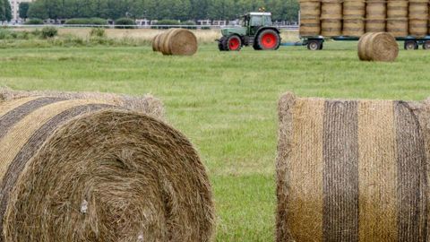 Un nouveau procédé breveté et inspiré de l’industrie textile permet de nettoyer les filets à balles rondes usagés et d’en faire des granulés de plastique à haute densité réutilisables à l’infini. © A. DUFUMIER
