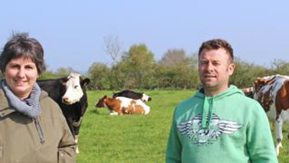 Production. « Lorsque l’on cherche à prolonger le pâturage, il ne faut pas regarder le lait du tank, car la production laitière varie entre 15 et 25 litres de lait », préviennent Cécileet Xavier.j.p.