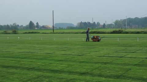 Carneau est installée à Orchies (Nord) et dispose d’une station de sélection à quelques kilomètres, à Beuvry-la-Forêt.