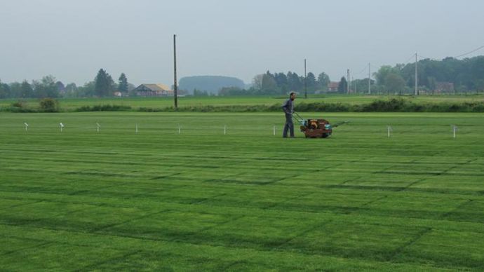 Carneau est installée à Orchies (Nord) et dispose d’une station de sélection à quelques kilomètres, à Beuvry-la-Forêt.