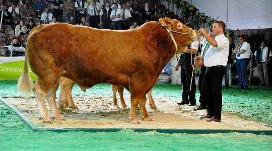 750 animaux présents chaque année sur le Space