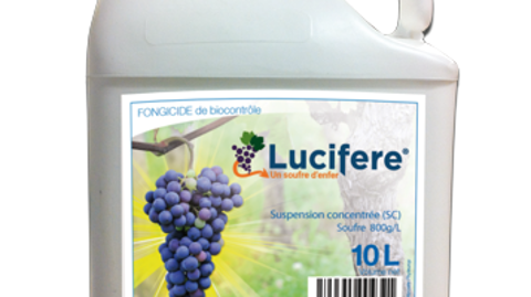 Lucifere est une solution soufrée liquide avec une résistance au lessivage allant jusqu’à 60 mm de pluie selon Phyteurop.
