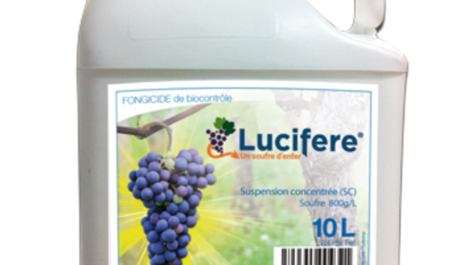 Lucifere est une solution soufrée liquide avec une résistance au lessivage allant jusqu’à 60 mm de pluie selon Phyteurop.