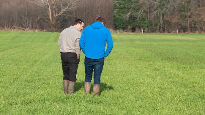 La mise en consultation du décret précisant les différents conseils phytosanitaires est espérée pour décembre. © J.-M. NOSSANT