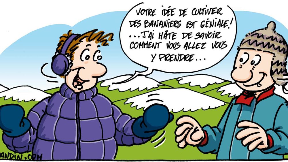 © DIDIER MARANDIN