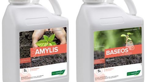 Amylis et Baseos Liqendo sont deux des trois biofertilisants d’Agronutrition homologués récemment par l’Anses.
