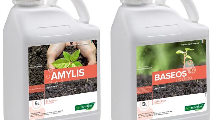 Amylis et Baseos Liqendo sont deux des trois biofertilisants d’Agronutrition homologués récemment par l’Anses.