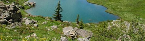 Au cœur des Alpes, au milieu des prairies fleuries et des lacs.