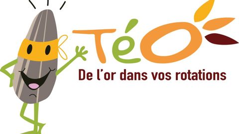 Tous les supports de communication porteront l’identité visuelle « Téo, de l’or dans vos rotations », et les principaux messages seront véhiculés par une « super-graine ».