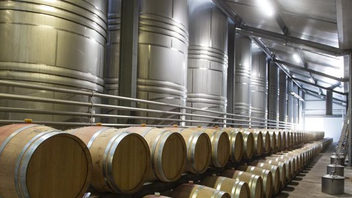 La crise Covid-19 affecte les caves coopératives à deux titres : sur leur activité export et leurs ventes en GMS. © J.-B. NADEAU