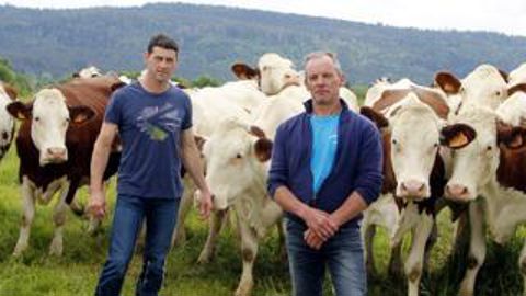 L’audit de la démarche Happy évalue la relation homme-animal : la distance de fuite, les interactions positives avec l’éleveur, le comportement des animaux devant un objet nouveau, etc. Ici, la réaction des vaches qui s’agglutinent immédiatement autour de Christian et Jérémy, même avec deux personnes étrangères dans le pré, montre la confiance et l’absence de stress.D. G.