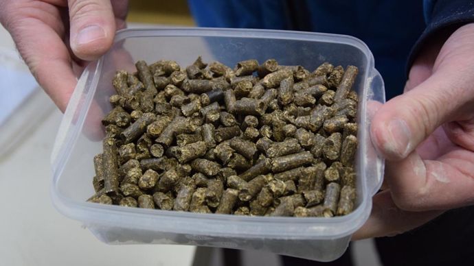 Avec 5 000 t par an de granulés de sainfoin déshydraté destinés dans leur immense majorité à la nutrition animale, la petite filière espère bien rester dans les formules. © Y. BOLOH