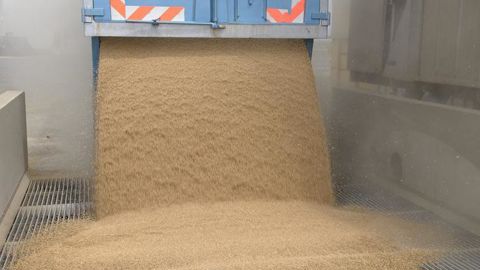Grand temps fort tout proche, la moisson fait l’objet d’une attention encore plus particulière cette année. © S. LEITENBERGER