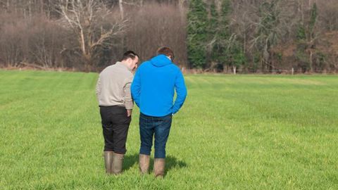 À ce stade, la frontière entre conseil spécifique, faite par le conseiller, et information à l’utilisation de produits phytosanitaires, du ressort du vendeur, est toujours floue. © J.-M. NOSSANT