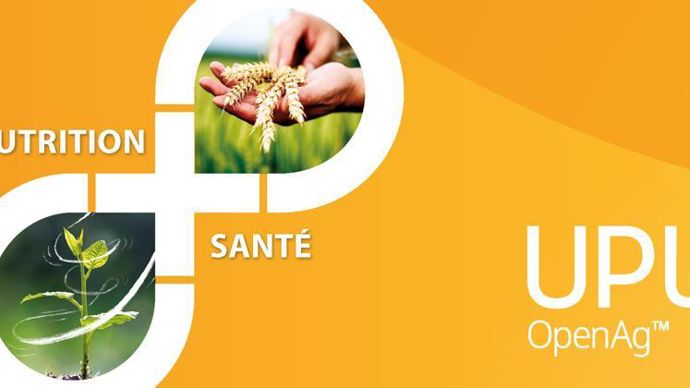 Sur mesure, l’offre Nutrition Santé d’UPL s’adapte en fonction de l’anticipation de la pression oïdium, rouille ou septoriose.