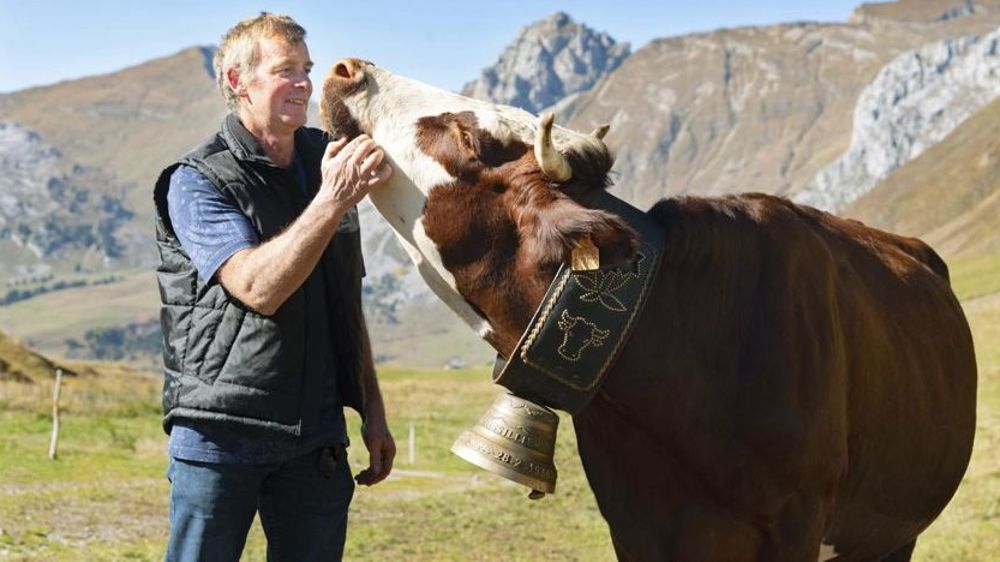 Neige descend de la montagne pour le Salon