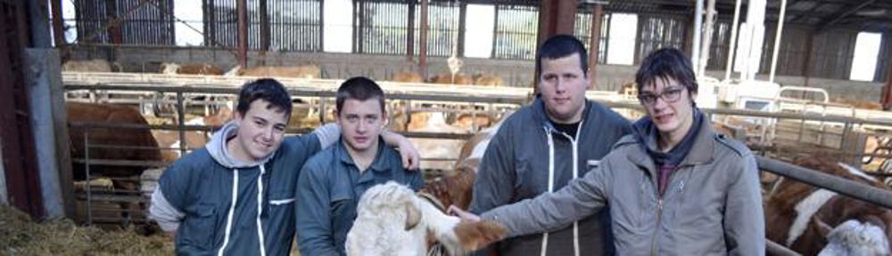 Quatre des six participants au TNLA 2019 : Alexis, Joseph, Maxime  et Florian (de g. à dr.). Clément et Marlon étaient absents pour la photo. Maxime assure le dressage de la vache Marquise (photo en médaillon). D.G.