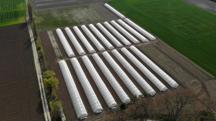 Le siège social de Pro Pulse est situé au domaine de La Vesc, à Montboucher-sur-Jabron (Drôme), qui comprend des serres dédiées aux légumes secs. © PRO PULSE