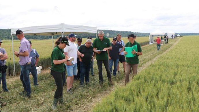 Sur la plateforme d’Agora à Catenoy (Oise), les visiteurs ont pu découvrir notamment un essai pour comparer le potentiel de rendement et la résistance aux maladies de 40 variétés de blé et aussi deux mélanges de variétés de blé, un précoce et un plus tardif.