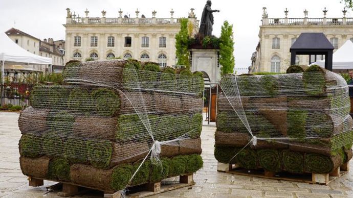Cette année, Lorca a fourni gracieusement 530 m2 de gazon en rouleau pour la mise en place du Jardin éphémère sur la place Stanislas de Nancy. © LORCA