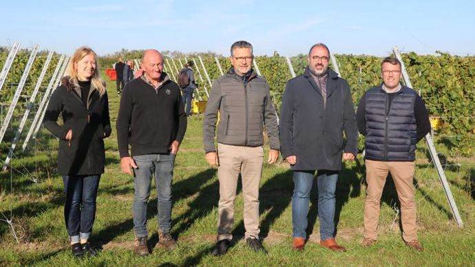 Laetitia Vankerkoven, œnologue chez Ternoveo, Laurent Sellie, agriculteur, Xavier Harlé, directeur général de Ternoveo, Armel Lesaffre, président d’Unéal et du groupe Advitam, et Sylvain Vidril, président de Ternoveo, le 28 septembre à Quiéry-la-Motte (Pas-de-Calais) pour leur première vendange. © B. CAILLIEZ