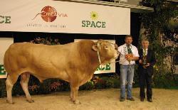 Résultats du concours interrégional de la race blonde d'Aquitaine
