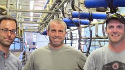 Stratégie. Franck Painchaud, Benoît Piveteau et Olivier Oiry (de g. à dr.) sont associés en Gaec et travaillent avec un salarié. S’ils cherchent à maîtriser le temps de traite, ils veulent surtout pouvoir bien surveiller leurs animaux afin d’identifier rapidement les éventuels problèmes et éviter tout dérapage, vite catastrophique dans un grand troupeau.P.L.C.