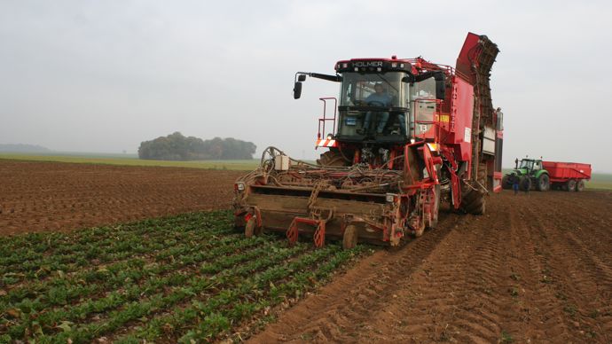 La sécheresse a pénalisé la récolte 2022, le rendement moyen ne devrait pas dépasser 80 t/ha. Pour la CGB, qui constate depuis plusieurs années des baisses de rendement, « le prix d’achat des betteraves devient plus déterminant que jamais ».