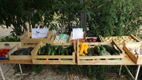 L’initiative le Potager d’à Côté L’initiative le Potager d’à Côté