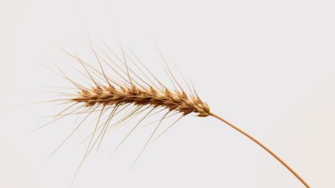 Dylann Hendricks | Unsplash Dylann Hendricks | Unsplash