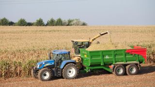 Une année très précoce. Les chantiers de récolte se sont déroulés avec trois ou quatre semaines d’avance dans des maïs desséchés. Les bonnes conditions d’implantation au printemps ont parfois sauvé la mise. Une année très précoce. Les chantiers de récolte se sont déroulés avec trois ou quatre semaines d’avance dans des maïs desséchés. Les bonnes conditions d’implantation au printemps ont parfois sauvé la mise.