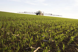 Selon Arvalis, près de 22% des hectares de blé traités à l'automne 2021 l'ont été avec deux passages encadrant la levée. Selon Arvalis, près de 22% des hectares de blé traités à l'automne 2021 l'ont été avec deux passages encadrant la levée.