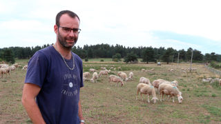 "Avec les sécheresses de plus en plus maquées, les brebis restent de plus en plus longtemps en bergerie, ce qui augmente les besoins en stocks", explique Guillaume Redon. "Avec les sécheresses de plus en plus maquées, les brebis restent de plus en plus longtemps en bergerie, ce qui augmente les besoins en stocks", explique Guillaume Redon.