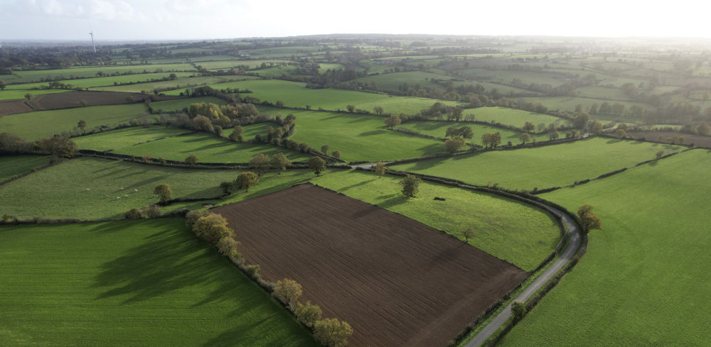 En 2022, les prix de vente flirtent avec les sommets, mais les coûts de production explosent.