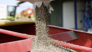 En glissement annuel es prix des engrais et des amendements ont augmenté de 50 %. En glissement annuel es prix des engrais et des amendements ont augmenté de 50 %.