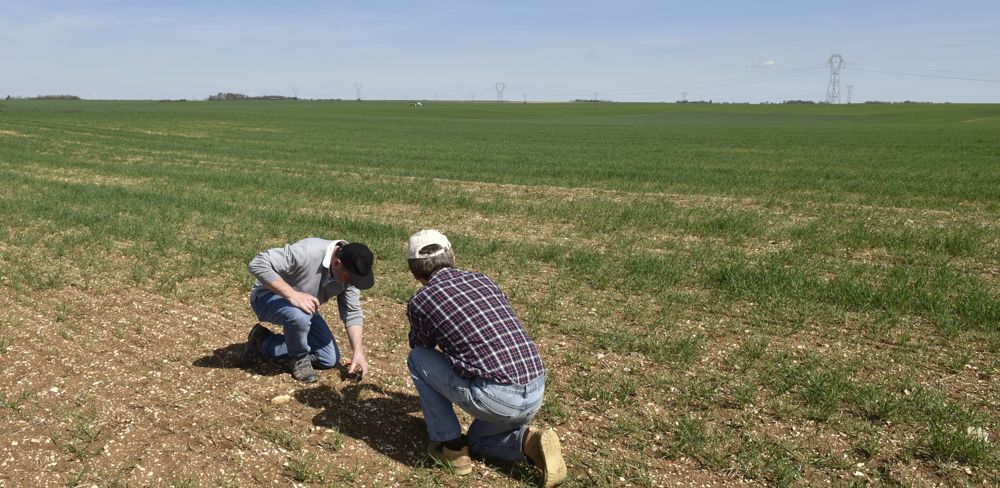 "’Itab est un institut technique agricole et agro-industriel qui travaille sur l’amont et l’aval", indique son directeur.
